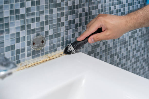 South St Paul, MN Mold Removal Company