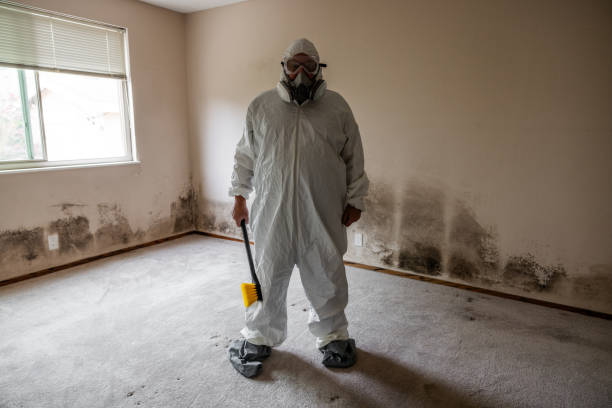 Crawl Space Mold Removal in South St Paul, MN